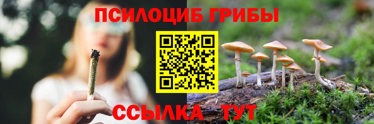 Псилоцибиновые грибы Cubensis Новороссийск